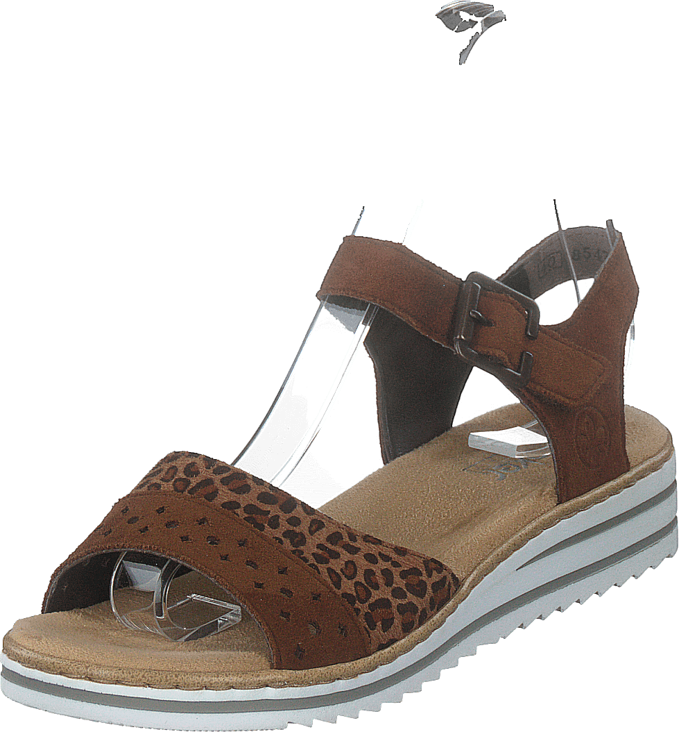 V0626-24 Leo/brown