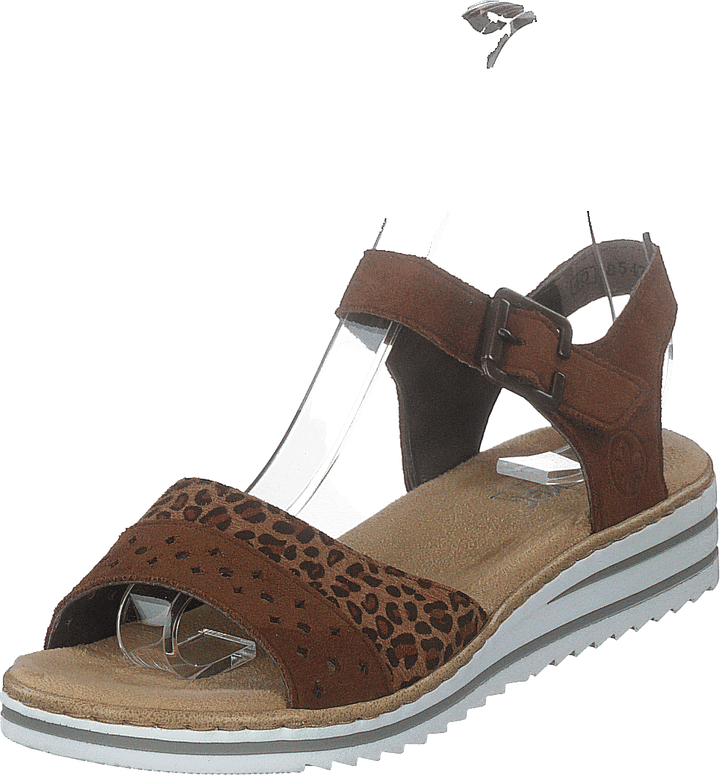 V0626-24 Leo/brown