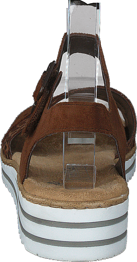 V0626-24 Leo/brown
