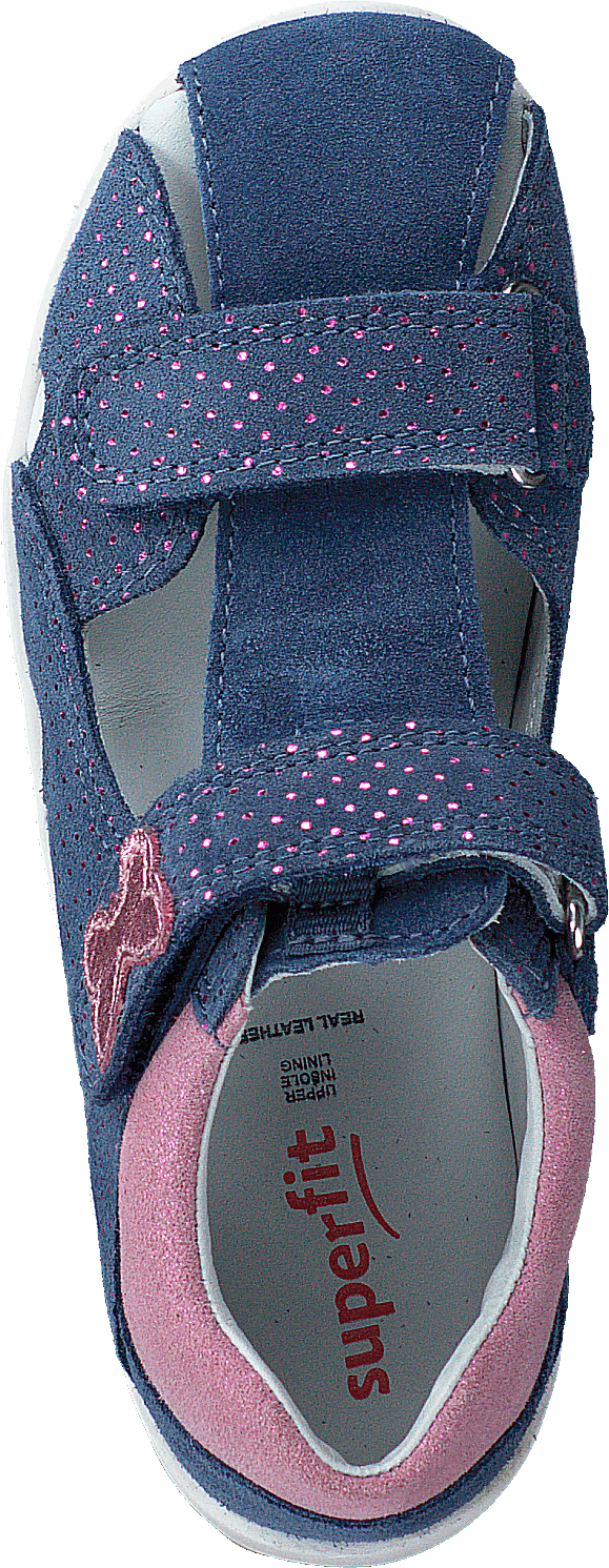 Fanni Blue/Pink