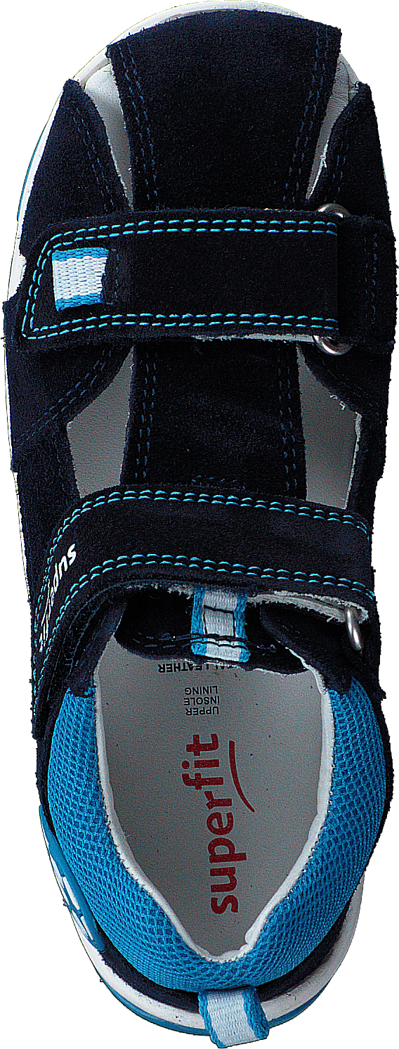 Freddy Blue