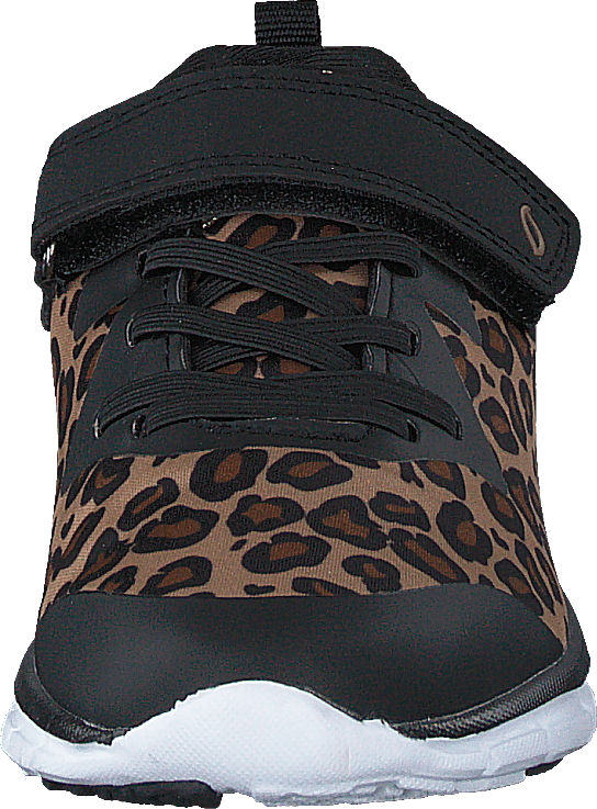Kolima Leopard