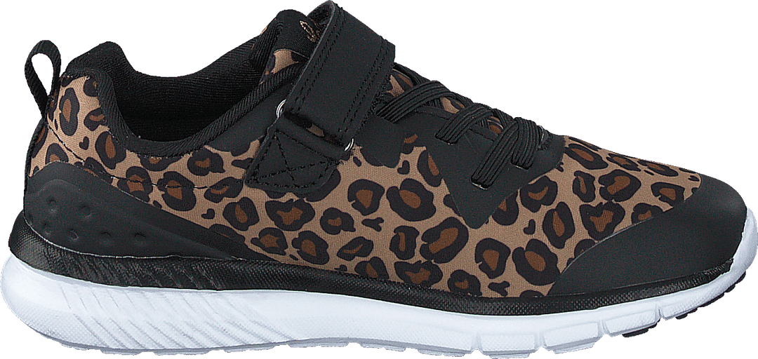 Kolima Leopard