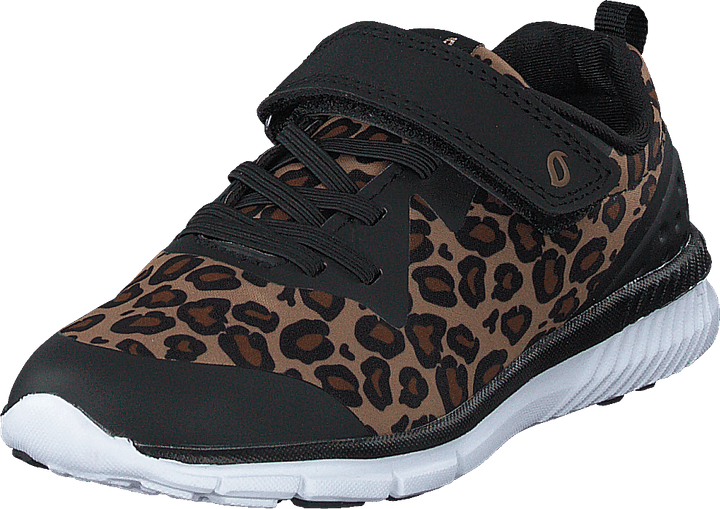 Kolima Leopard