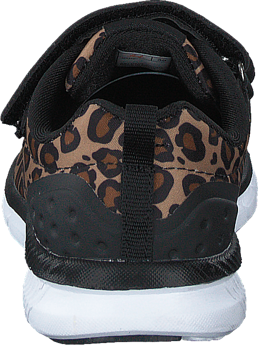 Kolima Leopard