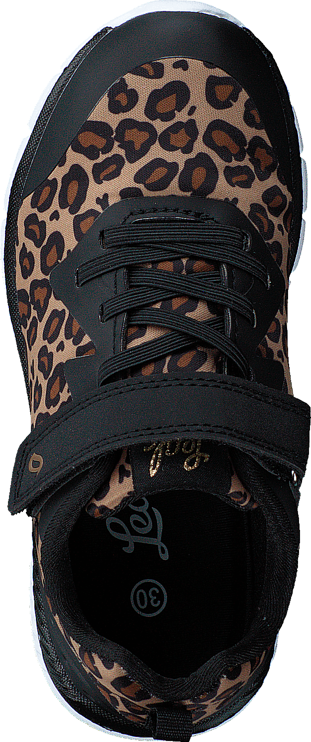 Kolima Leopard