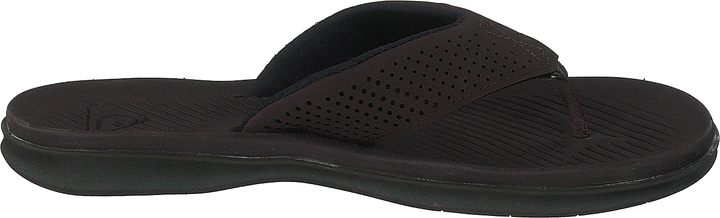 Haleiwa Plus Brown/brown/brown