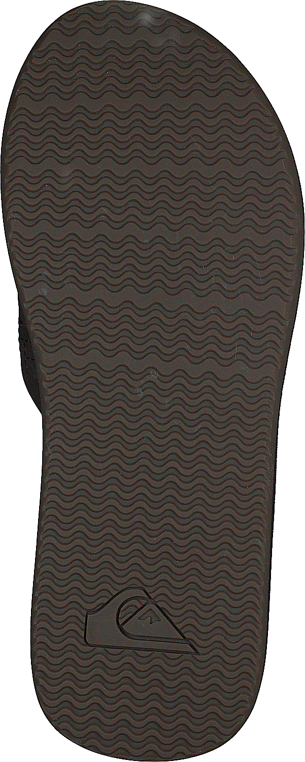 Left Coasta Brown/brown/brown