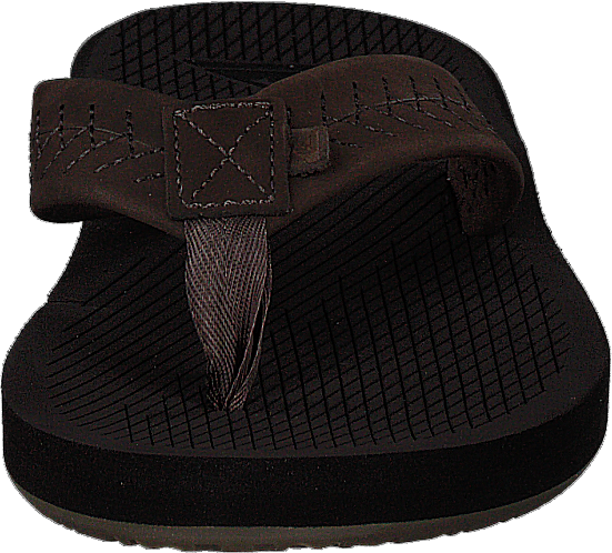 Left Coasta Brown/brown/brown