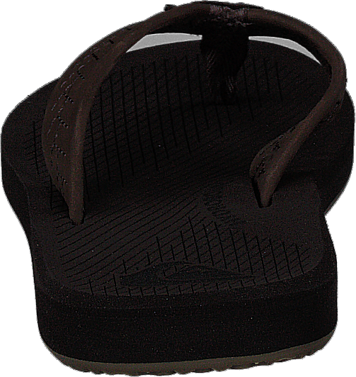 Left Coasta Brown/brown/brown