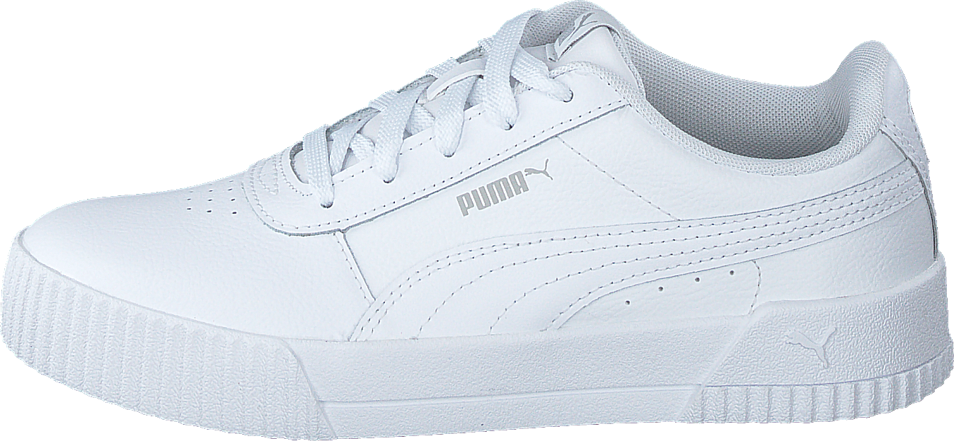 Carina L Ps White-white-grayviolet