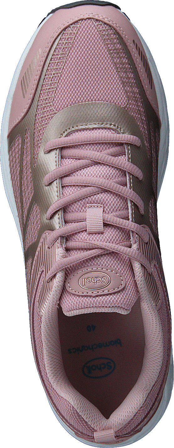 Sprinter Netz Rose/Gold