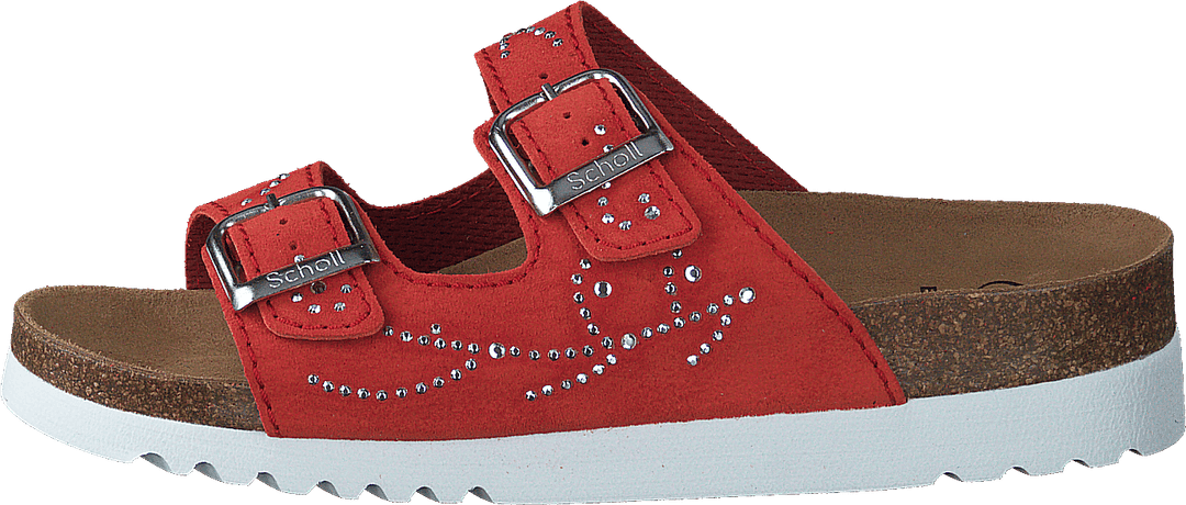 Malaren Coral