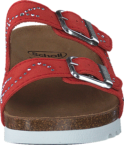 Malaren Coral