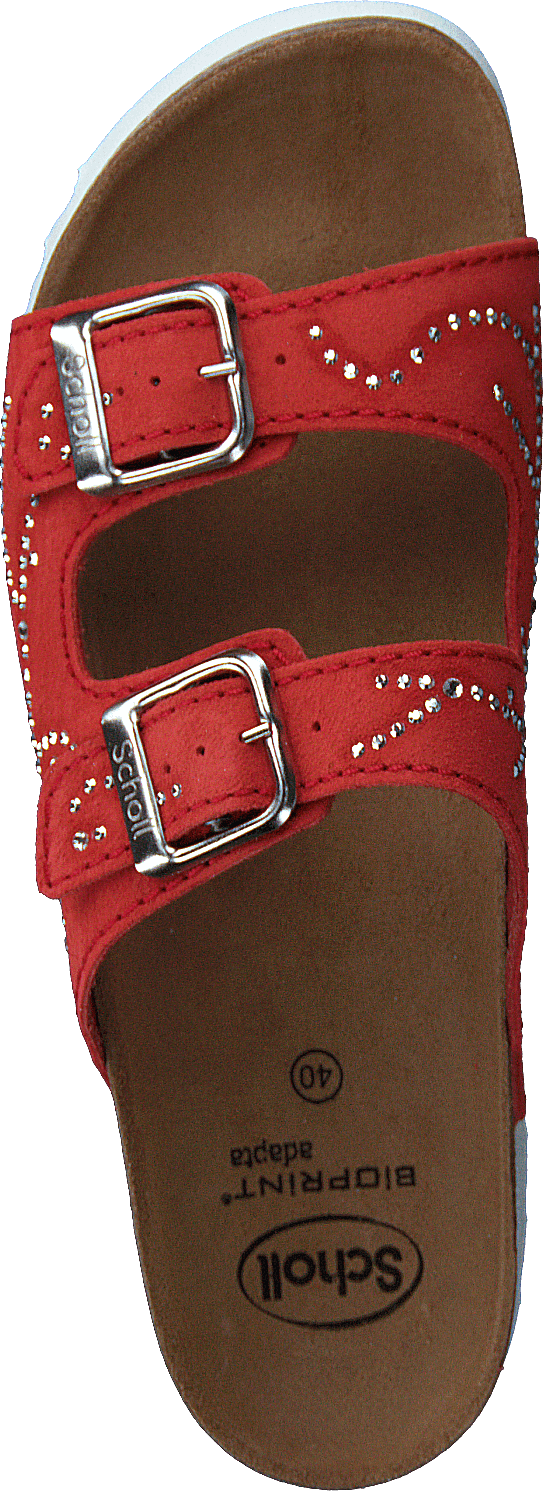 Malaren Coral