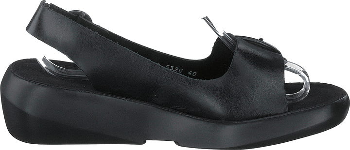 Berk754fly Briglia nera