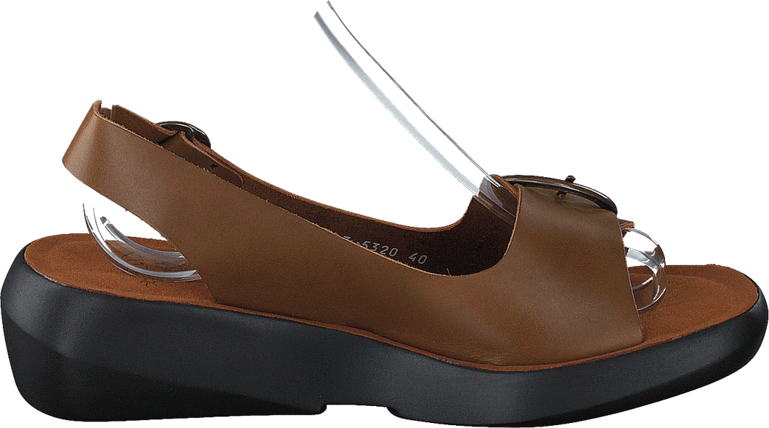 Berk754fly Bridle-camel