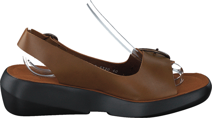 Berk754fly Bridle-camel