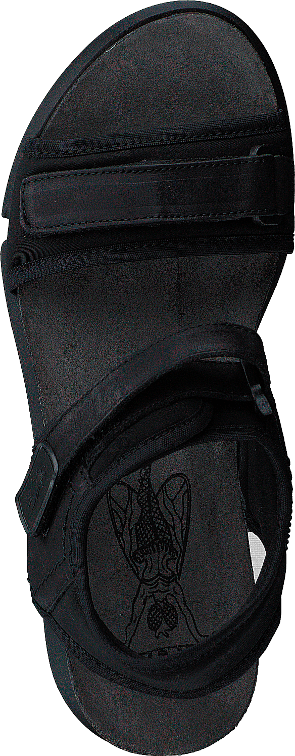 Sigo727fly Stretch/copido-black