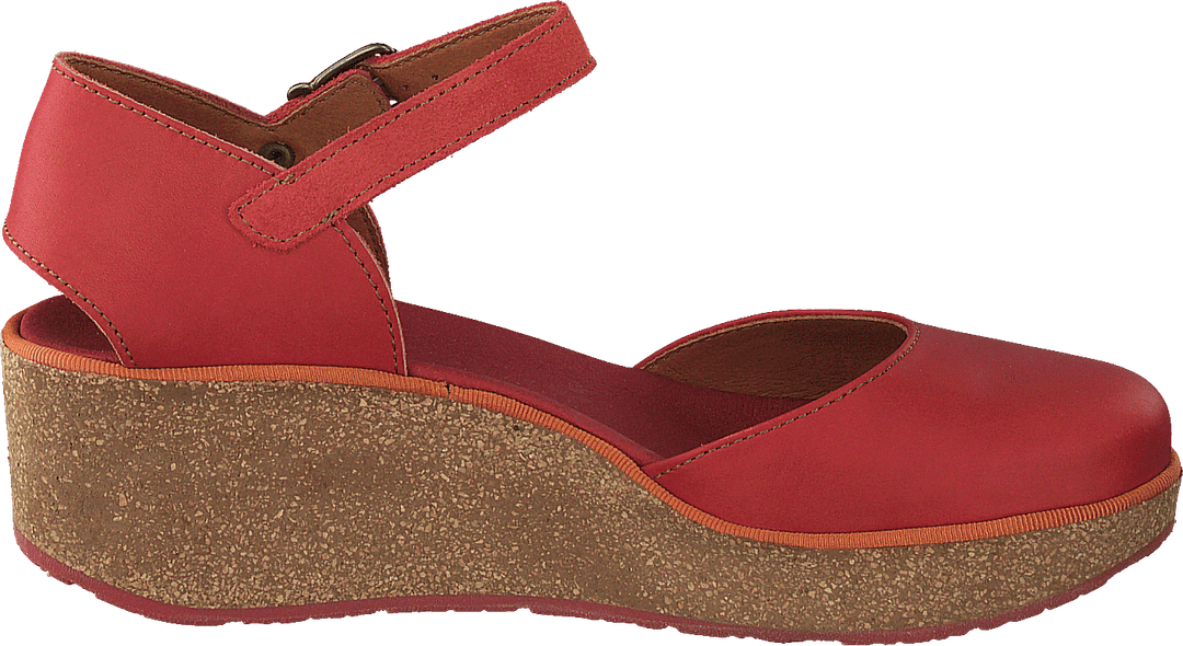 Parma Coral