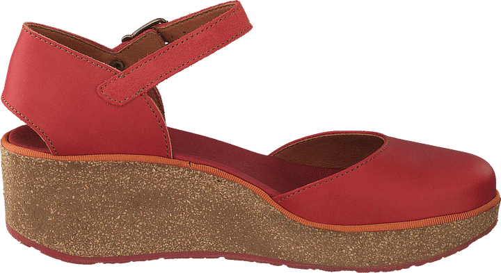 Parma Coral