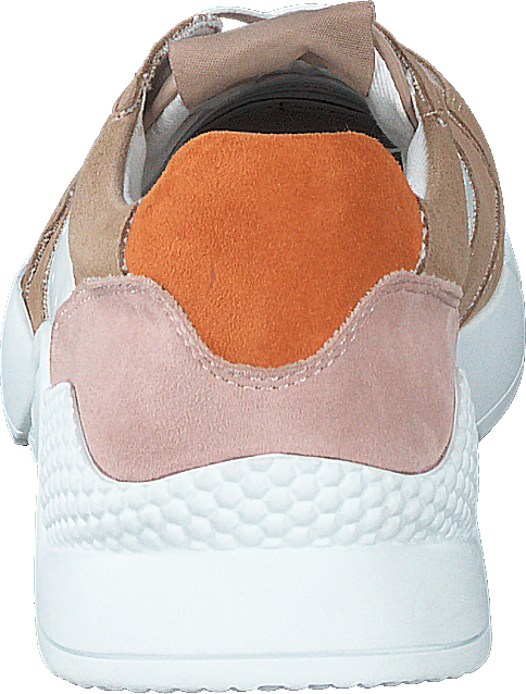 Tova Camel