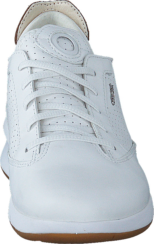 D Aerantis Bianco