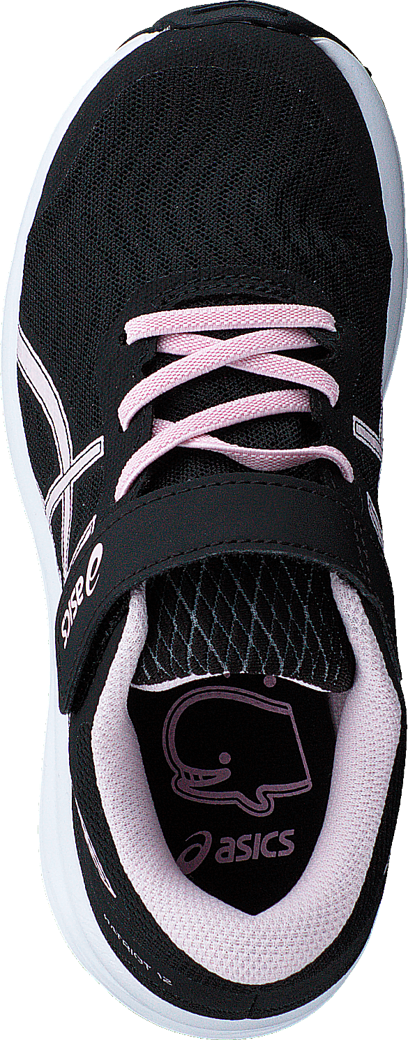Patriot 12 Ps Black/pink