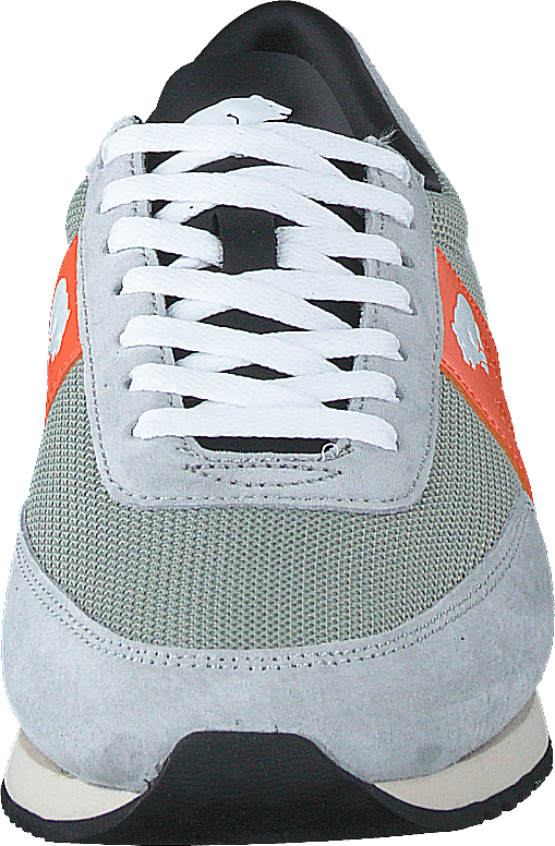 Albatross Dawn Blue / Morot