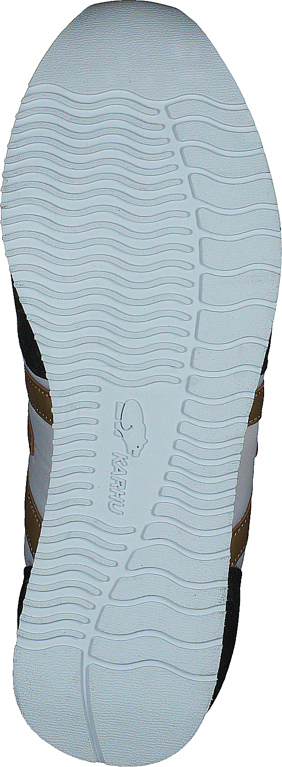 Albatros Jet Schwarz / Gold