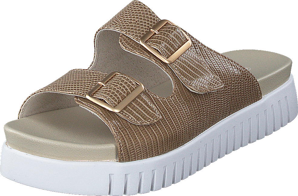 Tulip1165re Fossil