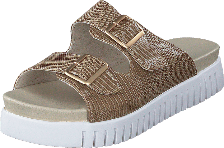 Tulip1165re Fossil