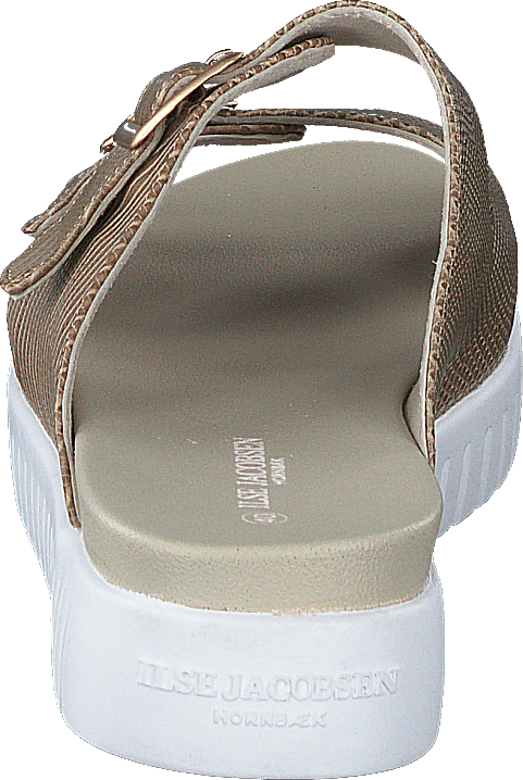 Tulip1165re Fossil