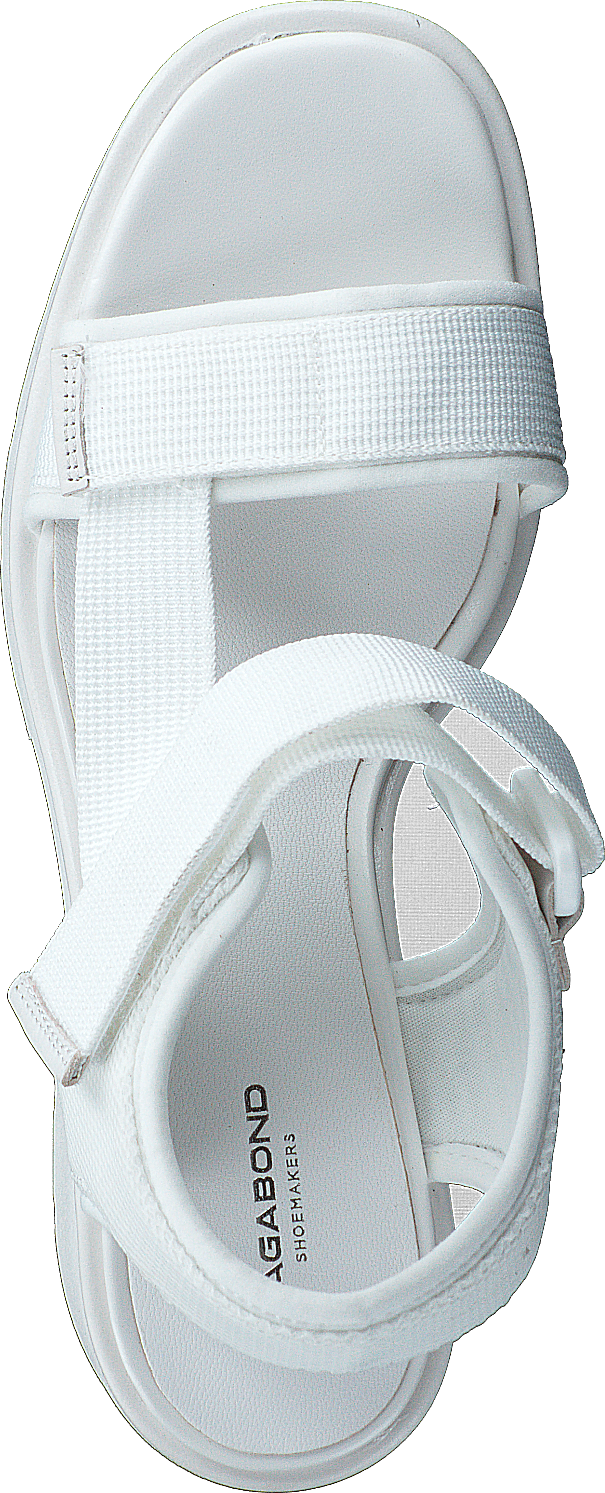 Dioon 4947-080-01 White
