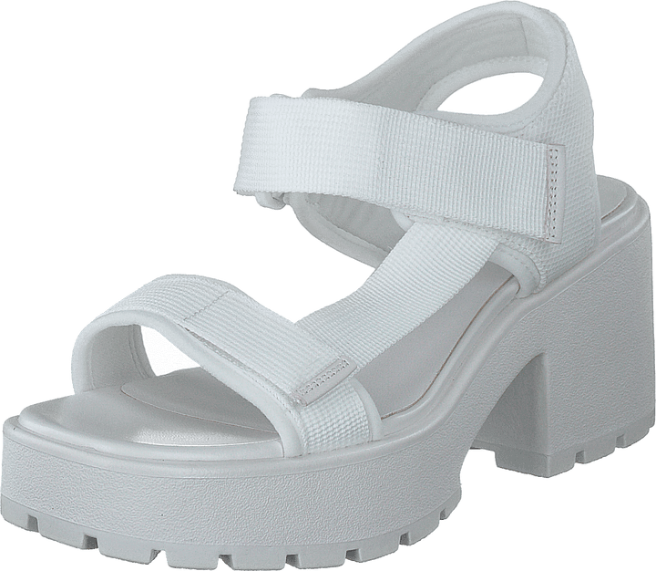 Dioon 4947-080-01 White