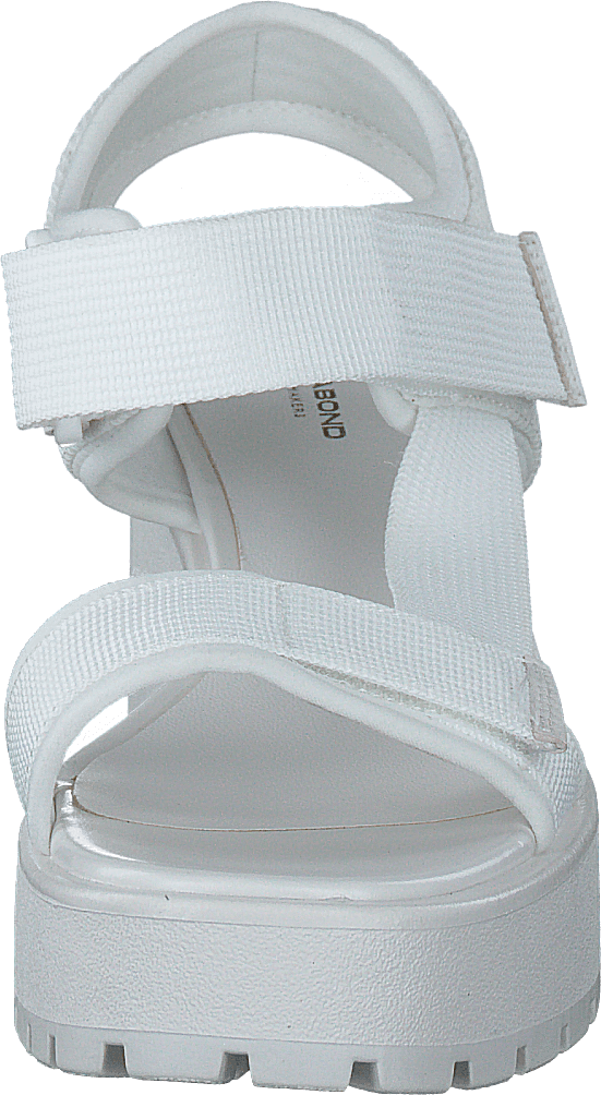 Dioon 4947-080-01 White