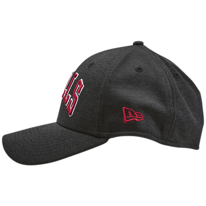 Bulls NBA Shadow 39THIRTY