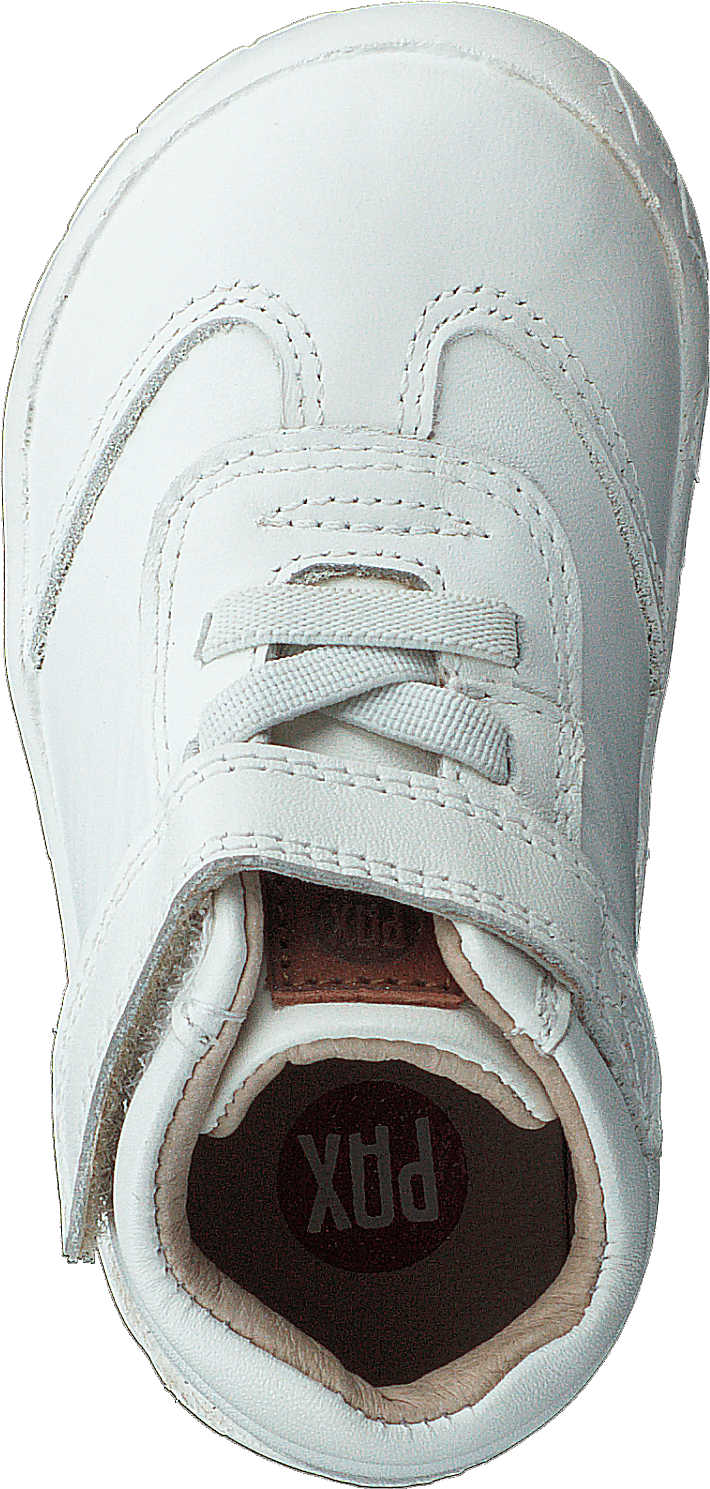 Tott White