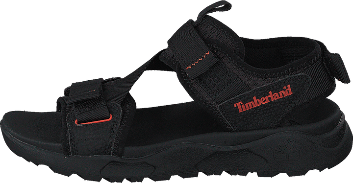 Ripcord 2 Strap Sandal Black Webbing
