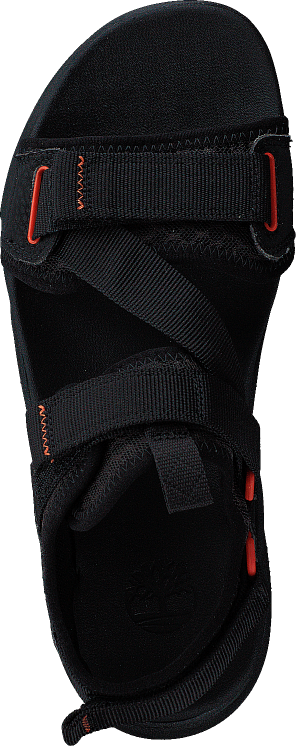 Ripcord 2 Strap Sandal Black Webbing