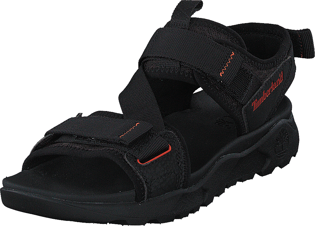 Ripcord 2 Strap Sandal Black Webbing