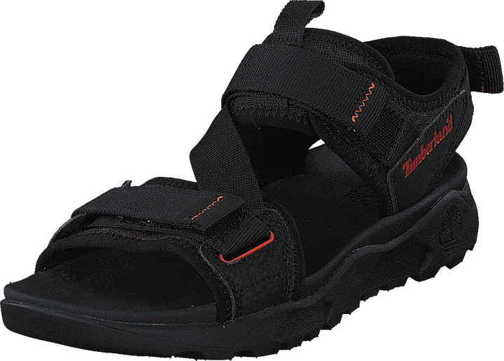 Ripcord 2 Strap Sandal Black Webbing