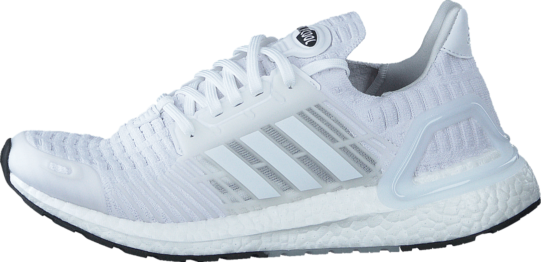 ultraboost dna cc_1 skor molnvit molnvit kärnsvart –