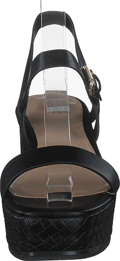 Eloiniel Black