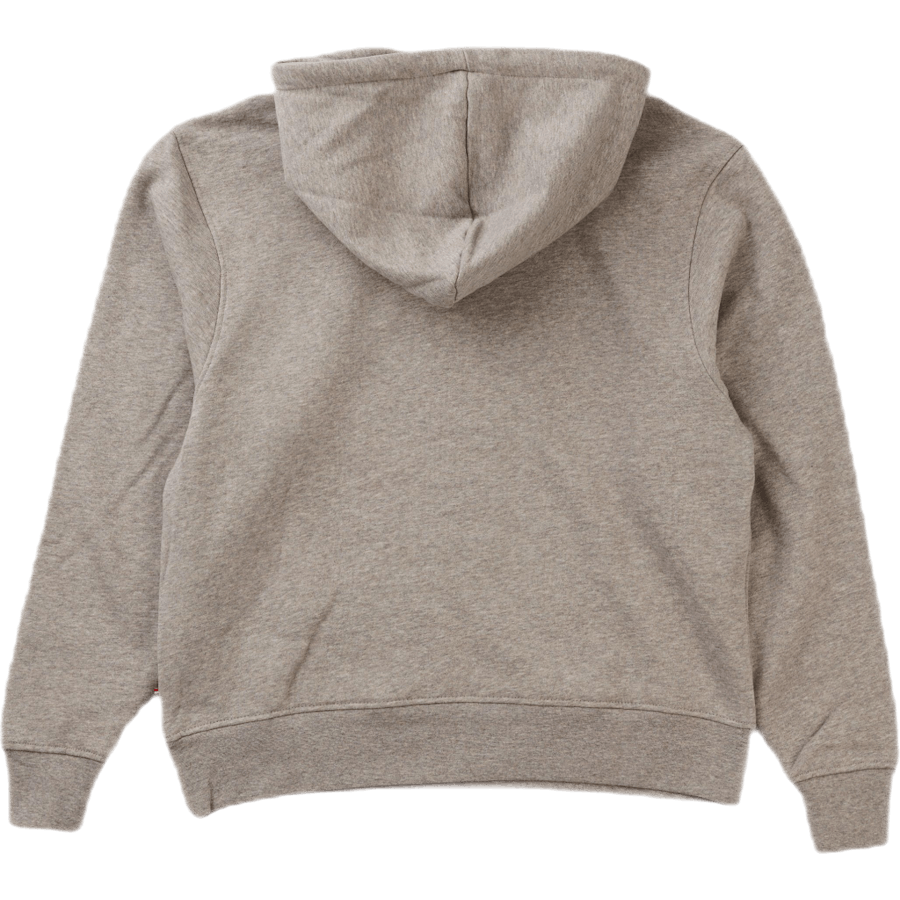 Bulky Hoodie Grijs Logo