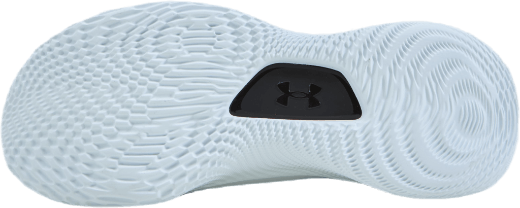 Curry 8 (GS)