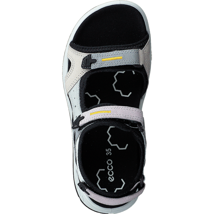 Ecco X-trinsic K Multicolor Blossom Rose