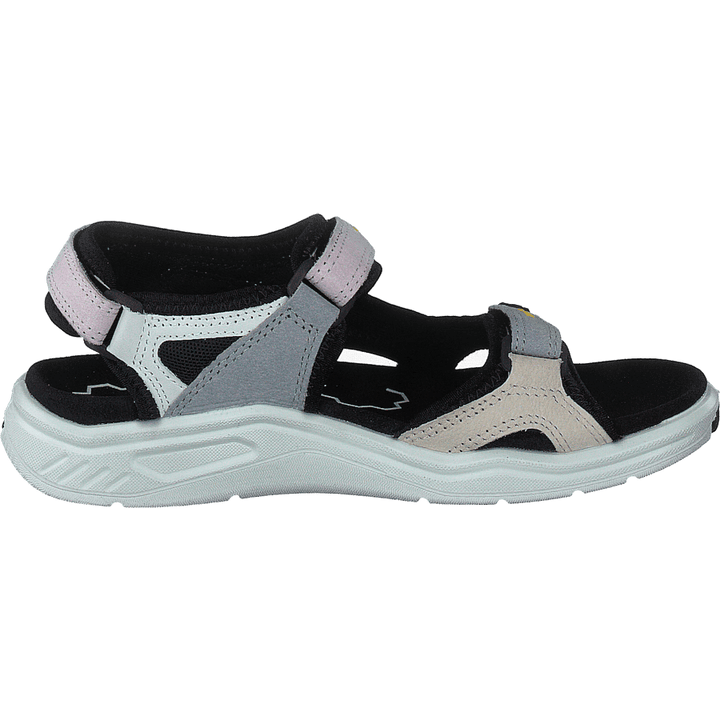 Ecco X-trinsic K Multicolor Blossom Rose