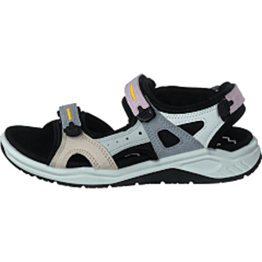 Ecco X-trinsic K Multicolor Blossom Rose