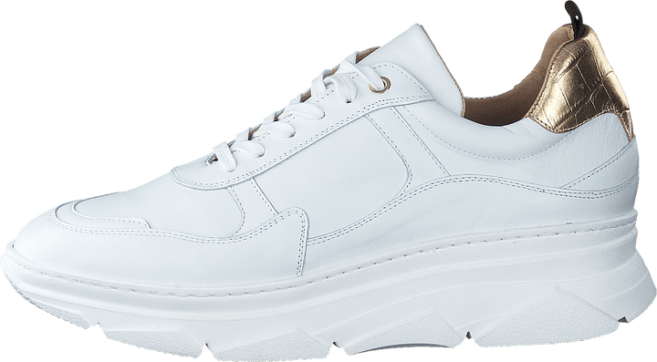 Quingo Bco White + Croc Gold